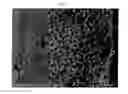 Fig. 07 - METHOD FOR MANUFACTURING ORIENTED-FIBER COMPOSITE MATERIAL, ORIENTED-FIBER COMPOSITE MATERIAL  MANUFACTURED THEREBY, REFLECTIVE POLARIZING LIGHT FILM  COMPRISING ORIENTED-FIBER COMPOSITE MATERIAL AND METHOD FOR MANUFACTURING REFLECTIVE POLARIZING LIGHT FILM