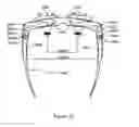 Fig. 22 - Ergonomic head mounted display device and optical system