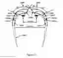 Fig. 33 - Ergonomic head mounted display device and optical system