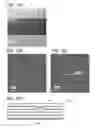 Fig. 19 - DISPLAY PANEL AND DISPLAY MODULE