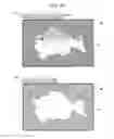 Fig. 48 - Image display device