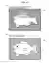 Fig. 49 - Image display device