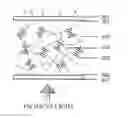 Fig. 01 - Electrically controlled fluorescent liquid crystal light valve and display device thereof