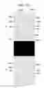 Fig. 07 - Liquid crystal display