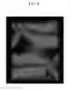 Fig. 10 - Liquid crystal display
