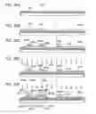 Fig. 27 - Liquid crystal display device, semiconductor device, and electronic appliance