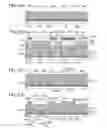 Fig. 28 - Liquid crystal display device, semiconductor device, and electronic appliance