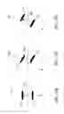 Fig. 24 - REMOVABLE OPTICAL DEVICES FOR MOBILE ELECTRONIC DEVICES
