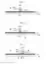 Fig. 10 - Developing method, computer-readable storage medium and developing apparatus