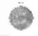 Fig. 12 - Developing method, computer-readable storage medium and developing apparatus