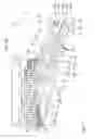 Fig. 06 - Illumination optical unit for EUV projection lithography