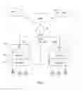 Fig. 07 - Avionics networks