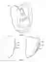 Fig. 06 - Fingertip mouse and base
