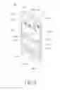 Fig. 03 - Mobile device and method for displaying information