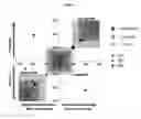 Fig. 04 - Devices, methods and systems for assessment and recordation of reactions to stimuli