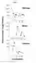 Fig. 06 - Devices, methods and systems for assessment and recordation of reactions to stimuli