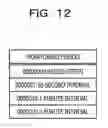 Fig. 13 - INFORMATION PROCESSING APPARATUS, INFORMATION PROCESSING SYSTEM, AND MONITORING METHOD