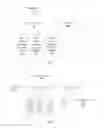 Fig. 05 - Customized processing of DOM objects