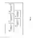 Fig. 03 - Automatic modeling of column and pivot table layout tabular data