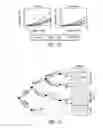Fig. 08 - Timing violation resilient asynchronous template