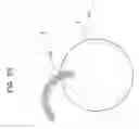 Fig. 26 - Non-transitory computer-readable recording medium having stored therein design program, information processing apparatus, and computer-implemented method for designing