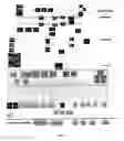 Fig. 05 - IN SILICO METHOD TO IDENTIFY THE IMPORTANT BIOMARKERS AND COMBINATORIAL ONCOPROTEINS IN TARGET BASED CANCER THERAPY