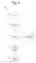 Fig. 05 - System and method for splitting DICOM medical image series into framesets