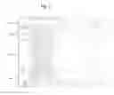 Fig. 04 - DISPLAYS, SYSTEMS, AND METHODS FOR DISPLAYING AVAILABLE TREATMENTS FOR SELECTED MEDICAL DIAGNOSES