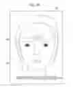 Fig. 16 - Wrinkle care support device and method for supporting wrinkle care
