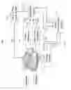 Fig. 03 - Biometric matching technology