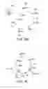 Fig. 08 - Spectral print mapping