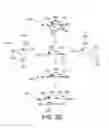 Fig. 11 - Spectral print mapping