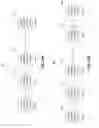 Fig. 22 - Multi-compartment neurons with neural cores