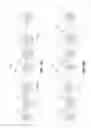 Fig. 23 - Multi-compartment neurons with neural cores