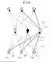 Fig. 10 - Method and apparatus for extending neural network