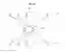 Fig. 17 - Method and apparatus for extending neural network