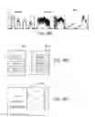 Fig. 19 - Generating dynamically controllable composite data structures from a plurality of data segments
