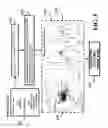 Fig. 06 - Mapping Documents to Associated Outcome based on Sequential Evolution of Their Contents
