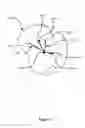 Fig. 08 - Method, system and apparatus for displaying surgical engagement paths