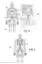 Fig. 04 - Apparatus and method for registering virtual anatomy data