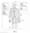 Fig. 06 - Apparatus and method for registering virtual anatomy data