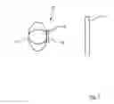 Fig. 02 - Overlay display