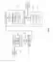 Fig. 18 - Shadowing method for ray tracing based on geometrical stencils