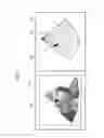 Fig. 08 - Volume rendering apparatus and method using voxel brightness gain values and voxel selecting model