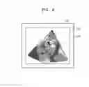 Fig. 09 - Volume rendering apparatus and method using voxel brightness gain values and voxel selecting model