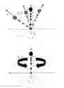 Fig. 05 - Method, system and apparatus for fall detection