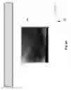 Fig. 85 - Neuroplasticity games for addiction