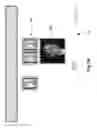 Fig. 99 - Neuroplasticity games for addiction
