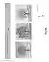Fig. 129 - Neuroplasticity games