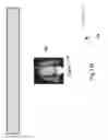 Fig. 136 - Neuroplasticity games